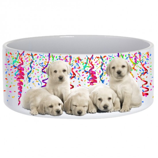 Large Dog Pet  Bowl- (B4D)  H-1